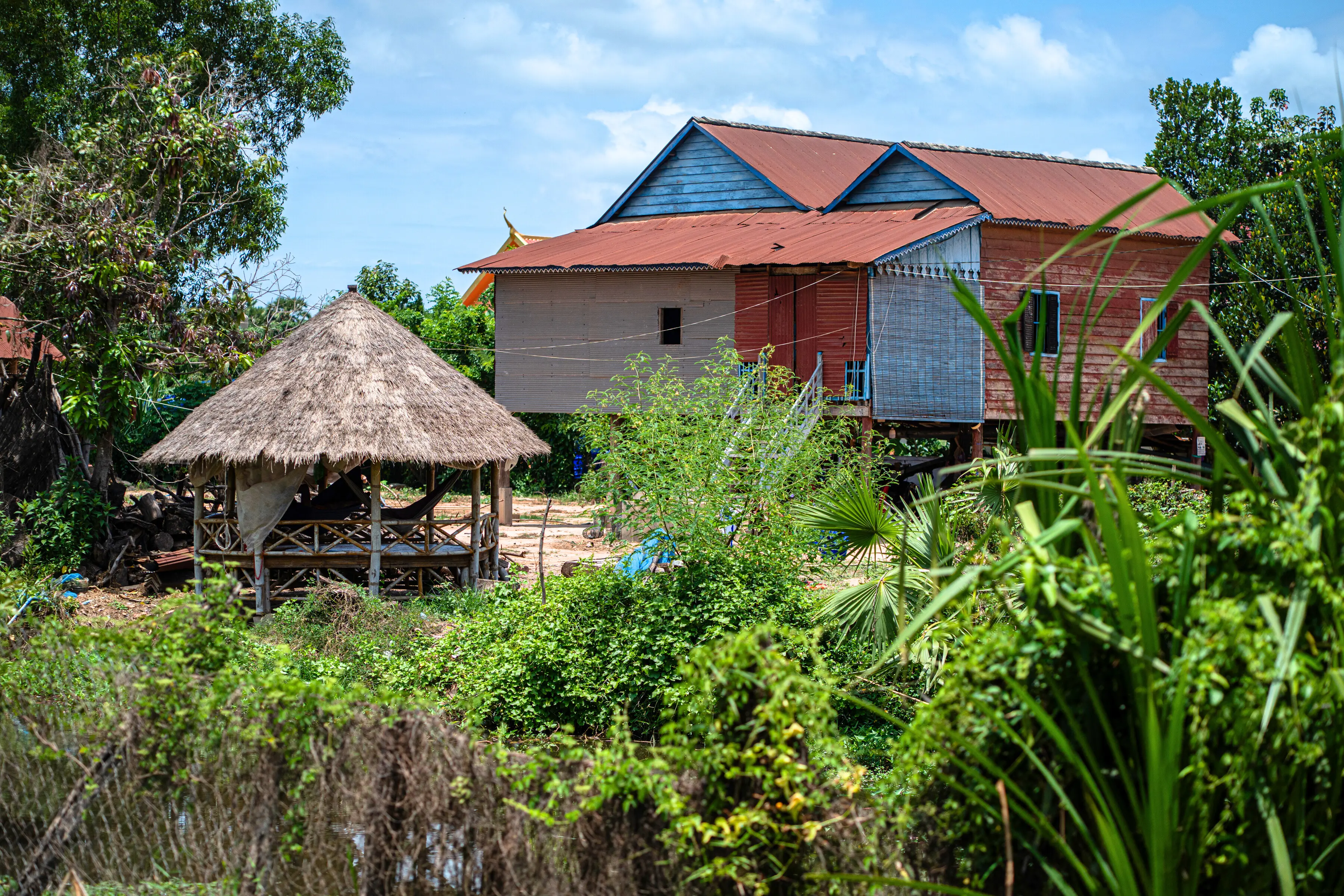 子どもを抱くお母さんの様子