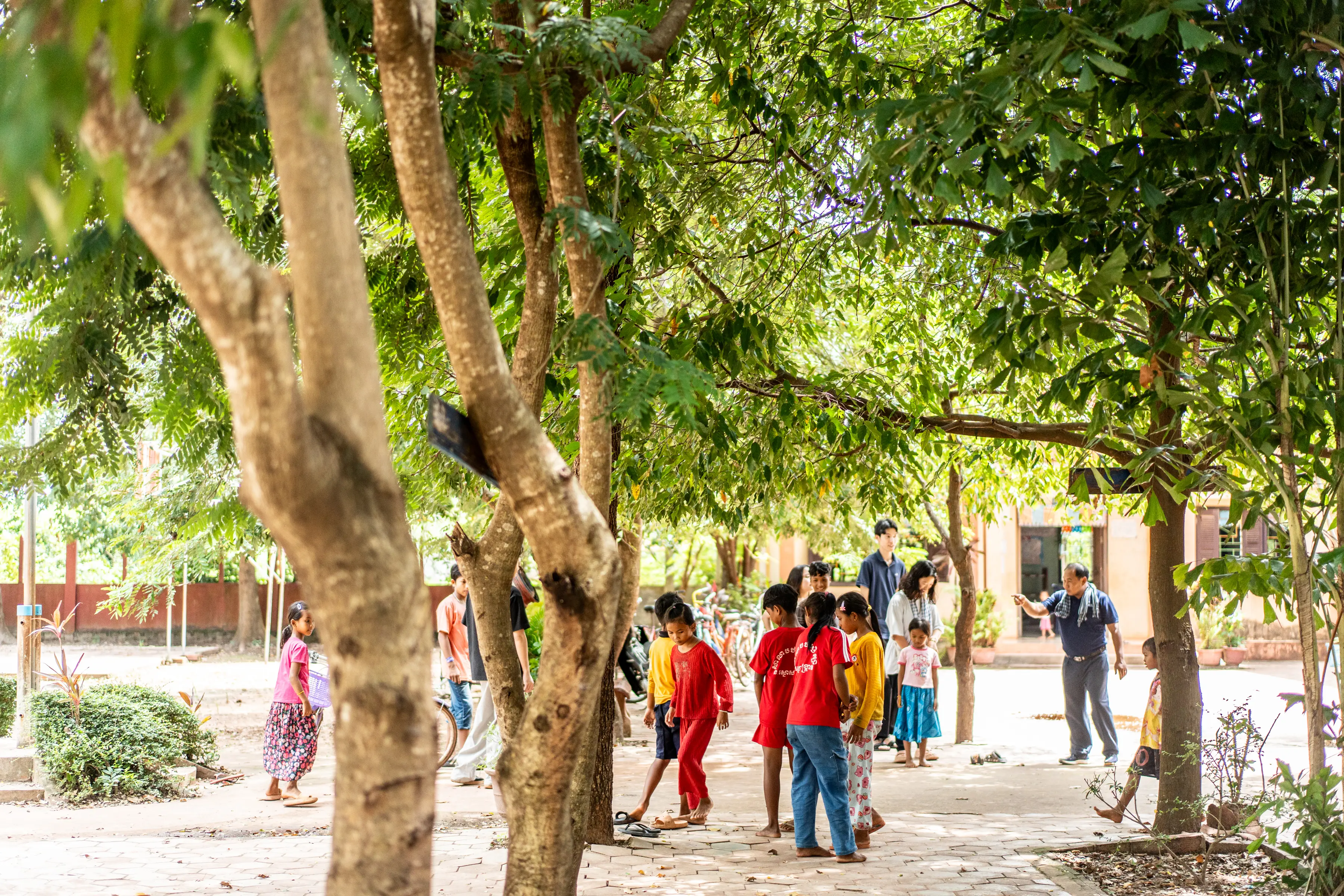 協働研究・現地実習